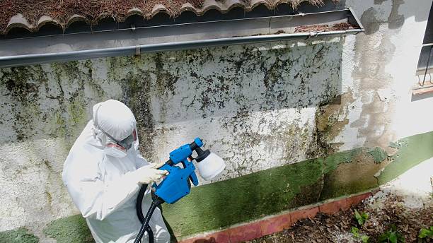 Top rated local Attic Mold Remediation specialists in Church Creek, MD